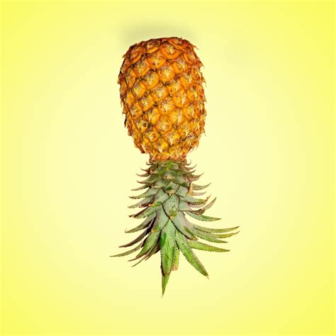 What Does A Pineapple On The Porch Mean? - southwark.tv