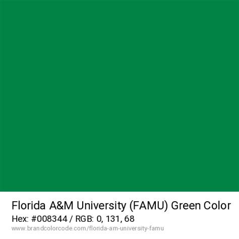 Florida A&M University (FAMU) Brand Color Codes » BrandColorCode.com