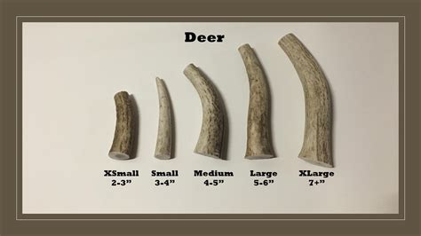 RED MOUNTAIN ANTLER COMPANY