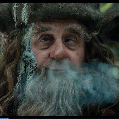 Radagast the Brown | The hobbit, Radagast the brown, Middle earth