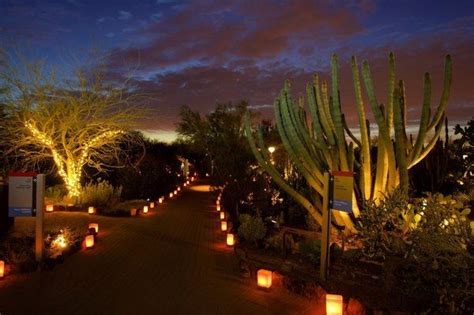 Desert Botanical Garden Las Noches de Las Luminarias Phoenix, AZ ...