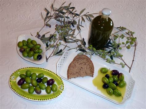 Harvesting olives – alexandra panagopoulou