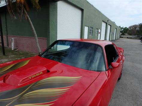 Used 1981 Pontiac Firebird Trans Am For Sale ($18,900) | Rose ...