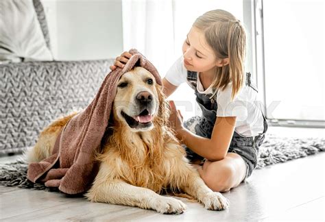 Girl with golden retriever dog | Stock image | Colourbox