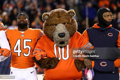 Staley Da Bear Photos Photos and Premium High Res Pictures - Getty Images