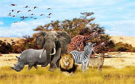 African Animals Wallpapers - Top Free African Animals Backgrounds ...