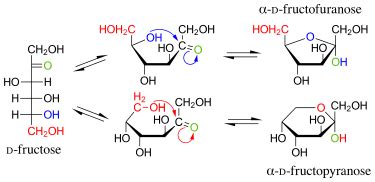 Fructose - Wikipedia