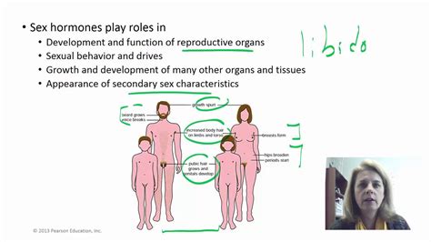 Introduction to reproduction - YouTube