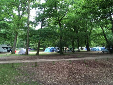 Hollands Wood Campsite, New Forest - Red Kite Days