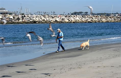 Rising temperatures in Long Beach means residents should brace for warm ...