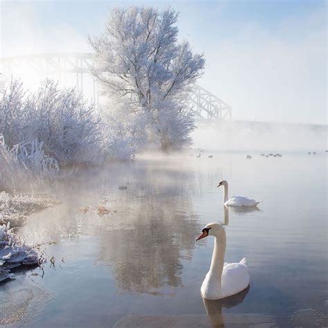 Beautiful Winter Landscapes | Others