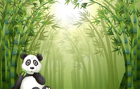 Bamboo Panda Wallpapers - Wallpaper Cave