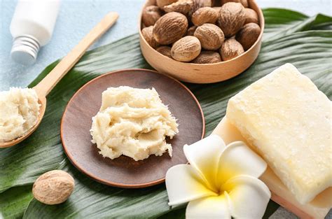 What are the benefits of Shea butter? | Cocooncenter®