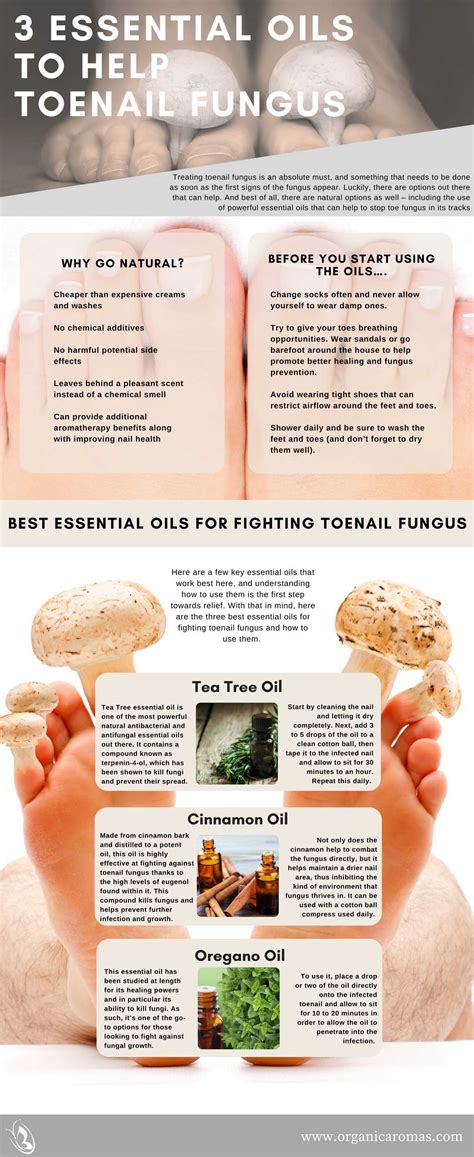 Essential Oils For Toenail Fungus - All You Need Infos