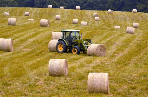 Free Images : landscape, horizon, sunrise, sunset, hay, field, meadow ...