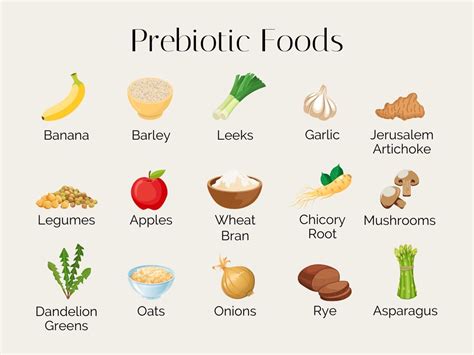 15 Prebiotic Foods for Gut Health - Stephanie Kay Nutrition