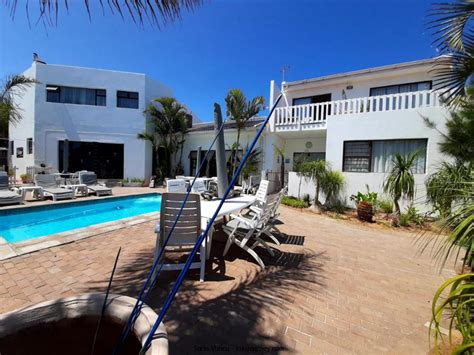 Guide to Langebaan Pet friendly Accommodation (2024 Updated) | Kiki Journey