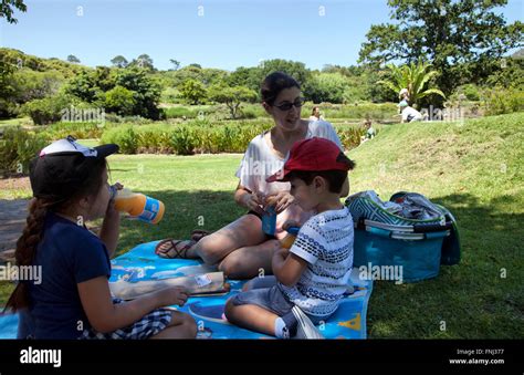 Picnic at Kirstenbosch National Botanical Gardens in Cape Town - South ...