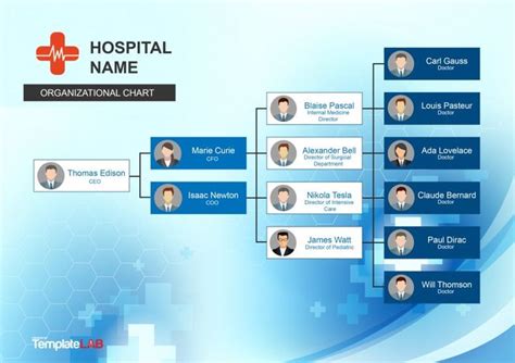 Download Hospital Organizational Chart 1 | Organizational chart ...