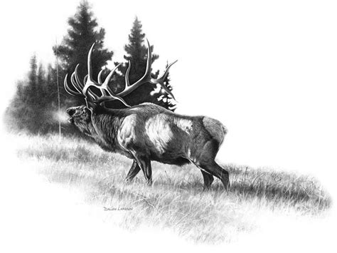 Image result for bull animal drawing | Deer hunting tattoos, Wildlife ...