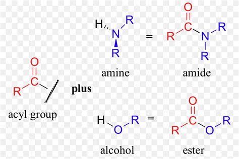 Amide Amine Functional Group Acyl Group Ester, PNG, 780x548px, Amide ...