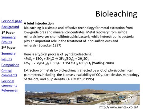 PPT - Bioleaching PowerPoint Presentation, free download - ID:2239029