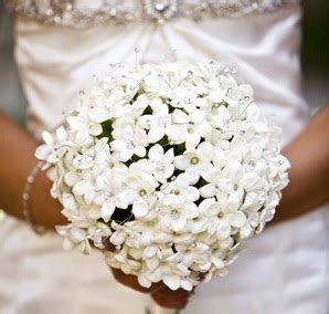 Stephanotis Flowers, Stephanotis Buoquets