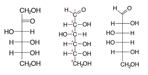 Carbohydrates Molecule Structure