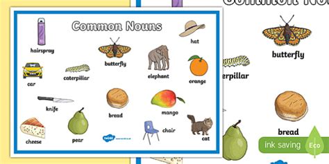 Common Nouns Display Poster (teacher made)