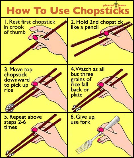 Henley the Great Dane Says "BOOF!": How to use chopsticks