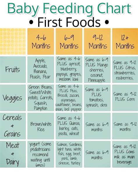 Baby'S First Foods Chart - FOODHUYA