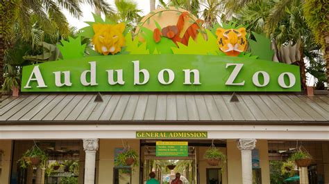 The Best Hotels Closest to Audubon Zoo in New Orleans for 2021 - FREE ...