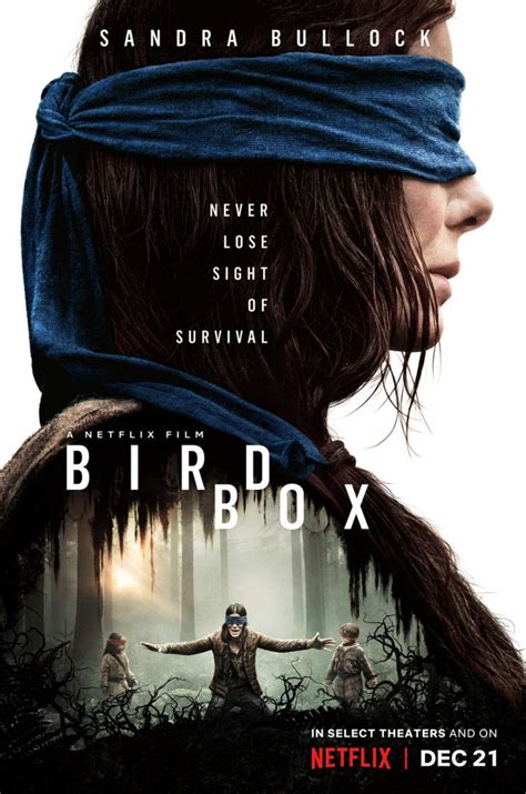 Movie Review : Bird Box – The Wilson Billboard