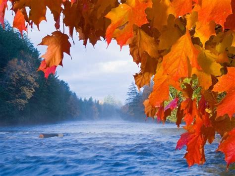 How to See Michigan's Upper Peninsula Fall Colors | REI Co-op Journal