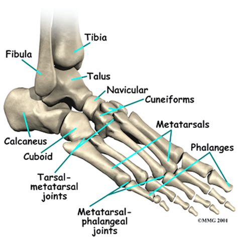 Subtalar Dislocation – Core EM