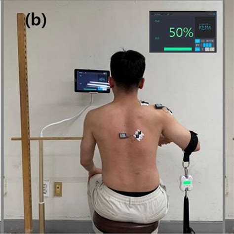 EMG measurements during isometric shoulder abduction by loads. a 25% ...