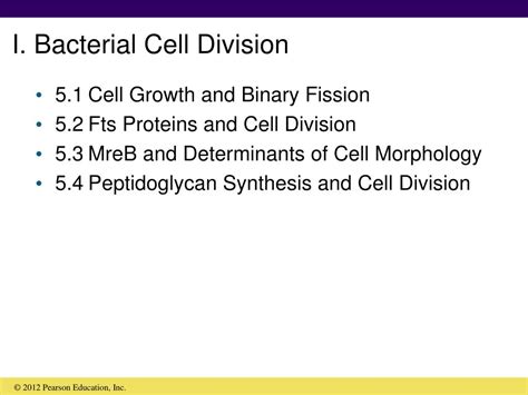 PPT - I. Bacterial Cell Division PowerPoint Presentation, free download ...