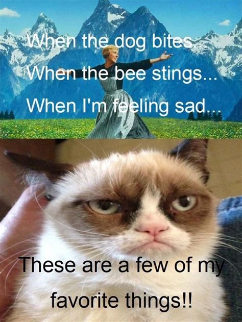 Grumpy Cat Quotes. QuotesGram