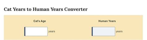 4 Best Cat Age Calculator To Try! - JSCalc Blog