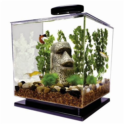 I Love Betta Fish: Betta Fish Tank - Betta Aquariums