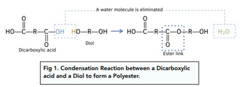 Condensation Reaction Between Alcohol And Carboxylic Acid