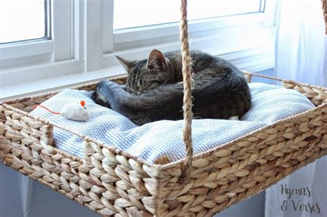 DIY Cat Bed | Mad Paws Blog