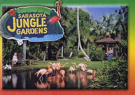 Sarasota Jungle Gardens 2 | Karyn Schronski | Flickr