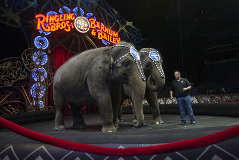 Ringling Bros. and Barnum & Bailey Circus Is Closing After 146 Years ...