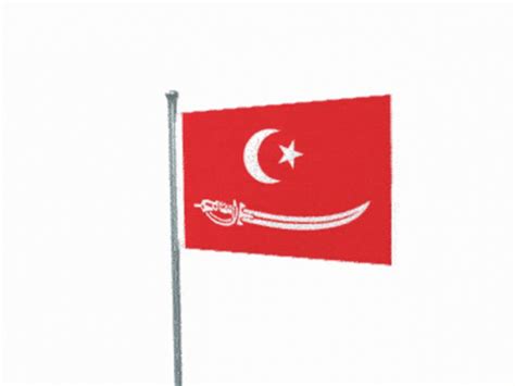 Aceh Flag GIF - Aceh Flag - Discover & Share GIFs