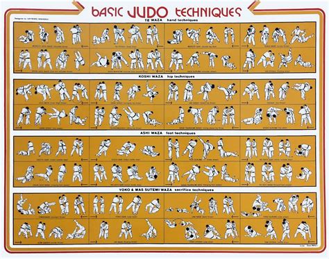 Basic Judo Techniques | Judo, Judo training, Judo throws