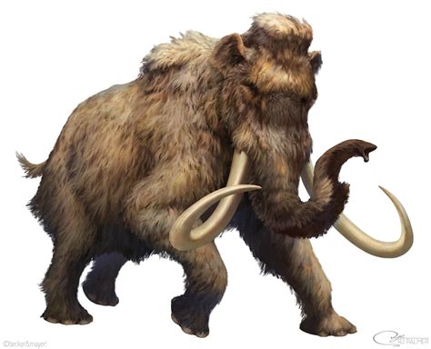 Woolly mammoth | Dinopedia | FANDOM powered by Wikia