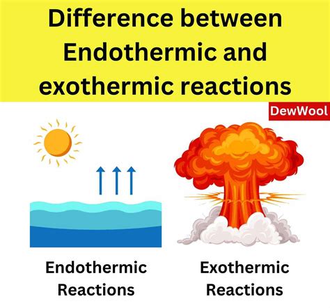 Exothermic Reactions Examples