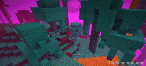 Warped Forest in Minecraft