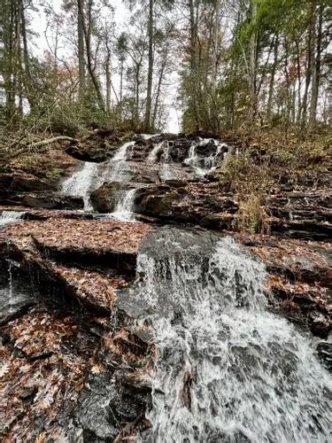 Best Waterfall Trails in Vogel State Park | AllTrails